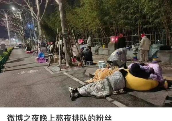 追星能年薪50万？某公司优先招聘李一桐粉丝，网友吐槽不公平