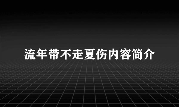 流年带不走夏伤内容简介