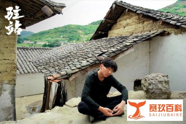 《驻站》大结局：看到最后，才知张莱西举报郑义，投靠常胜的隐情