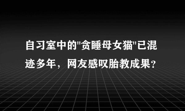 自习室中的