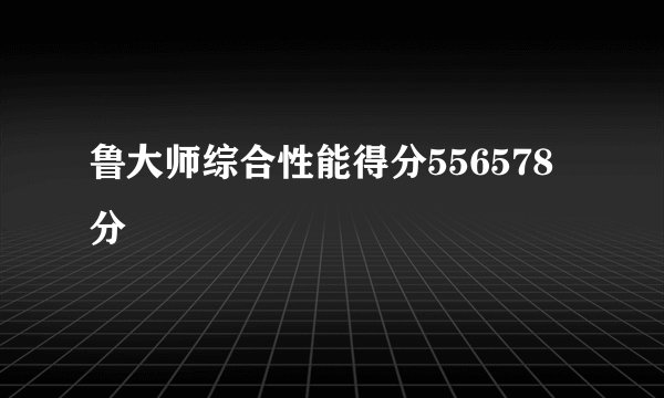 鲁大师综合性能得分556578分