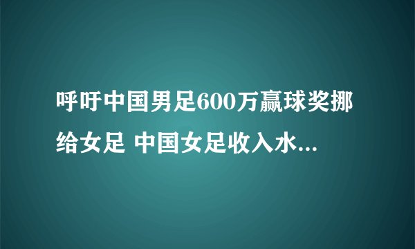 呼吁中国男足600万赢球奖挪给女足 中国女足收入水平其实世界领先