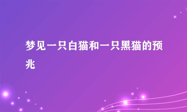 梦见一只白猫和一只黑猫的预兆