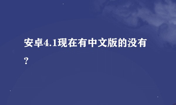 安卓4.1现在有中文版的没有？