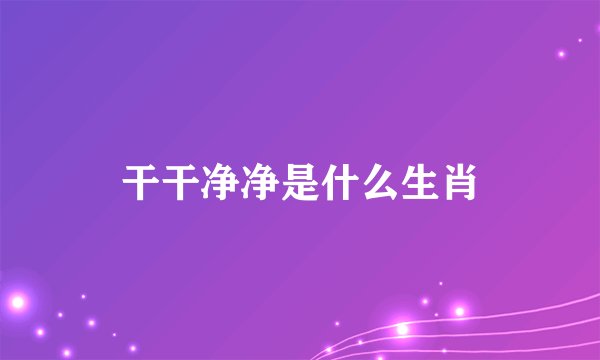 干干净净是什么生肖