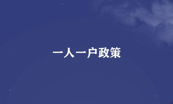 一人一户政策