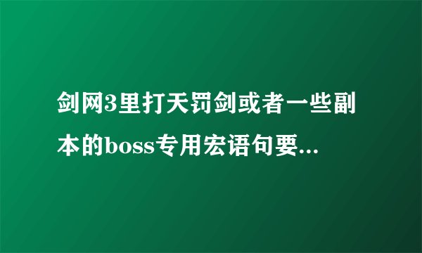 剑网3里打天罚剑或者一些副本的boss专用宏语句要加到整体宏语句的哪里啊？