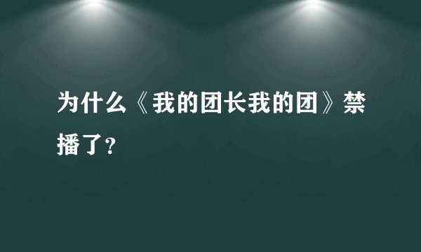 为什么《我的团长我的团》禁播了？