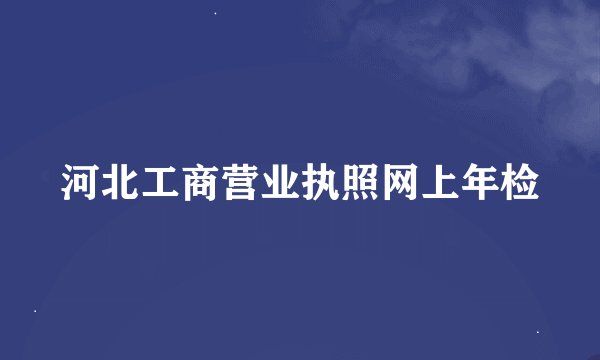 河北工商营业执照网上年检