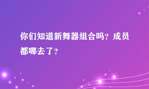 你们知道新舞器组合吗？成员都哪去了？