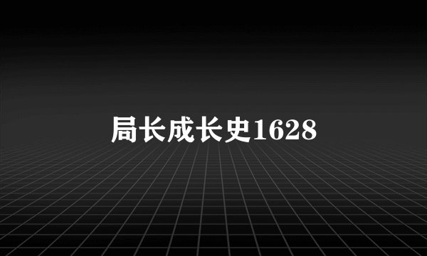 局长成长史1628