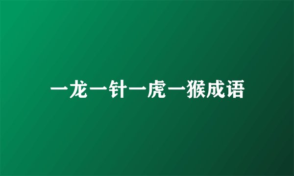一龙一针一虎一猴成语