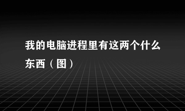 我的电脑进程里有这两个什么东西（图）