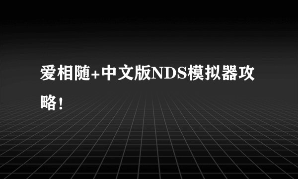 爱相随+中文版NDS模拟器攻略！