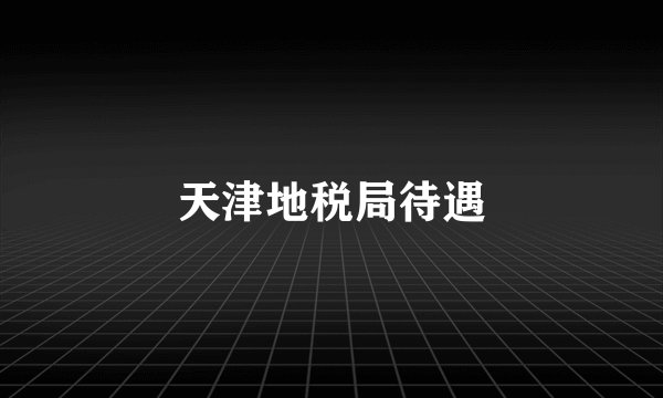 天津地税局待遇