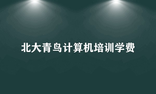 北大青鸟计算机培训学费