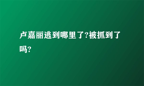 卢嘉丽逃到哪里了?被抓到了吗?