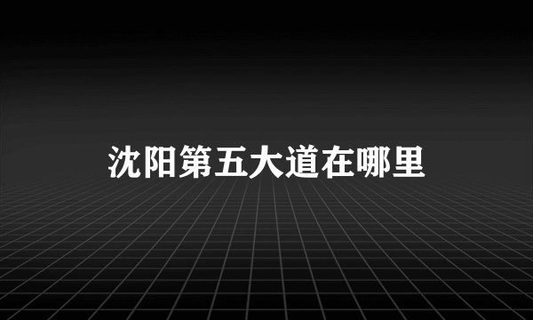沈阳第五大道在哪里