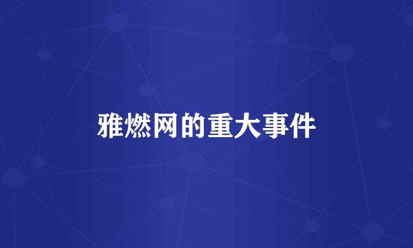 雅燃网的重大事件