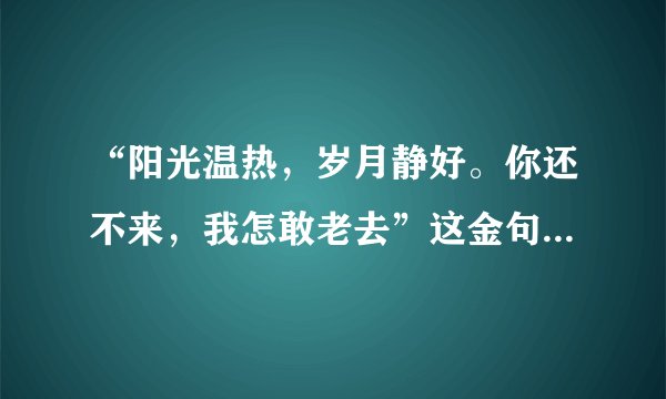 “阳光温热，岁月静好。你还不来，我怎敢老去”这金句话的意思