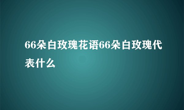 66朵白玫瑰花语66朵白玫瑰代表什么