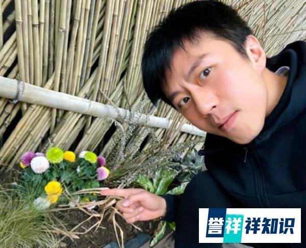 郑爽涉嫌逃税被调查,多达15位明星工作室注销,包括邓超、何炅等