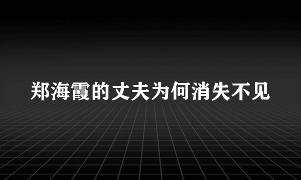 郑海霞的丈夫为何消失不见