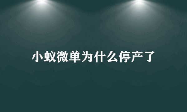 小蚁微单为什么停产了