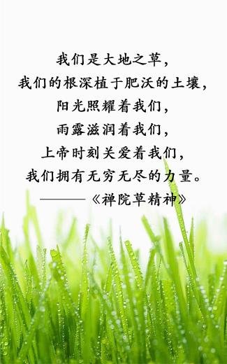 真的有特异功能吗？