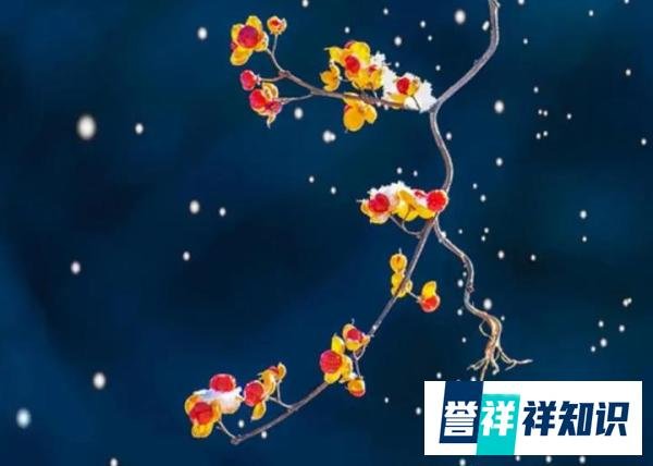 识人：身上有这5个特点的人，城府不浅
