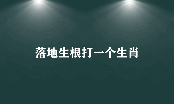 落地生根打一个生肖