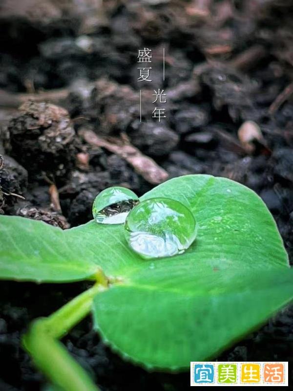 15张普通人拍出来的好照片:最后一张能拍到,运气实在是太好了