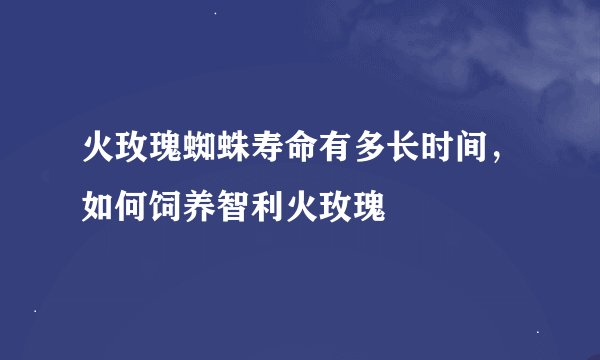 火玫瑰蜘蛛寿命有多长时间，如何饲养智利火玫瑰