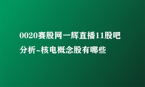 0020赛股网一辉直播11股吧分析~核电概念股有哪些