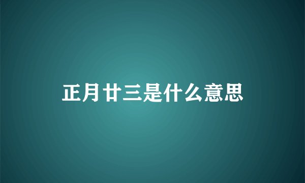 正月廿三是什么意思