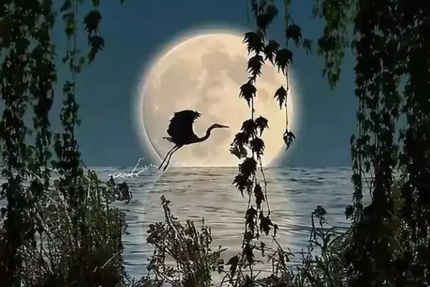 中秋明月的古诗