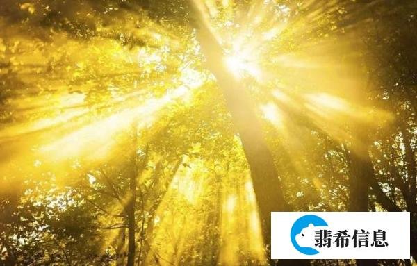 让灵魂在阳光下起舞