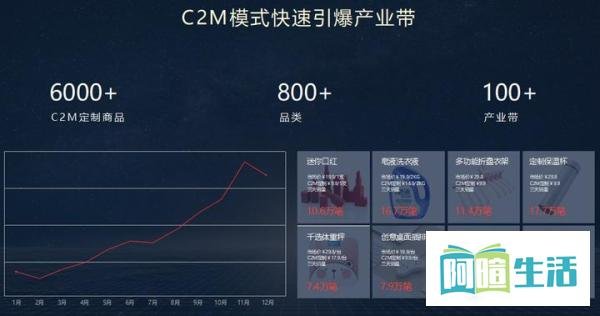 被网友举报的“山寨”淘宝到底是什么?