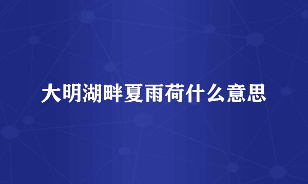 大明湖畔夏雨荷什么意思