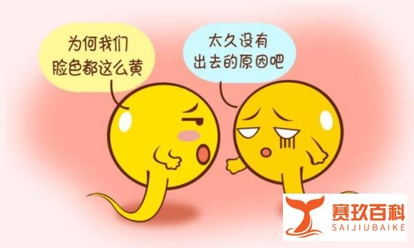 标准男性的精子是什么样？