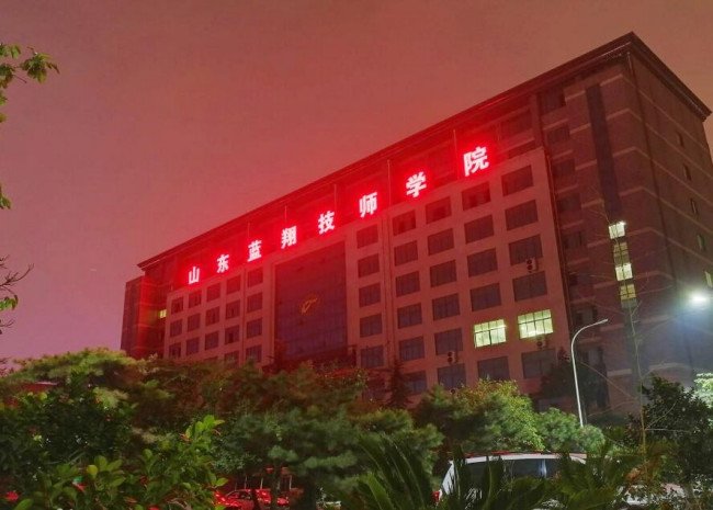 纽伊斯特大学和蓝翔学院是一回事吗