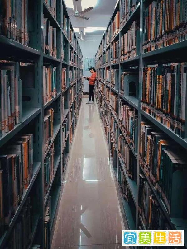 15张普通人拍出来的好照片:最后一张能拍到,运气实在是太好了