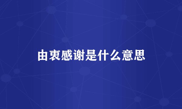 由衷感谢是什么意思