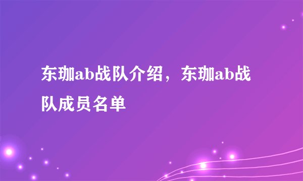 东珈ab战队介绍，东珈ab战队成员名单
