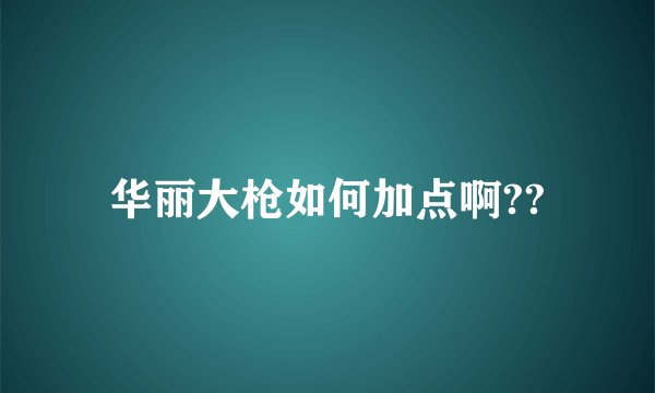 华丽大枪如何加点啊??