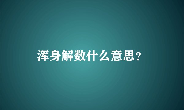 浑身解数什么意思?