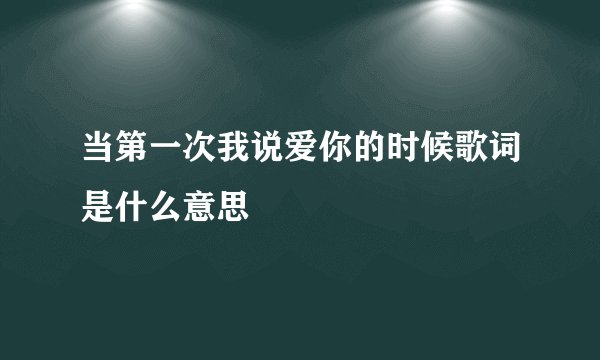 当第一次我说爱你的时候歌词是什么意思