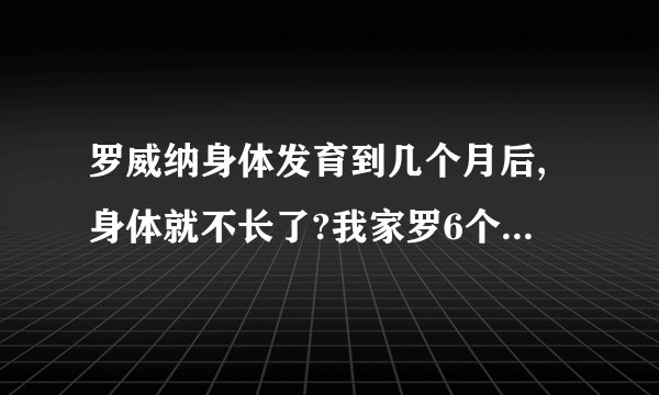 罗威纳身体发育到几个月后,身体就不长了?我家罗6个月40多斤,成年了会长多大?