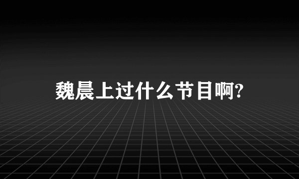 魏晨上过什么节目啊?