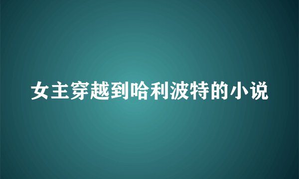女主穿越到哈利波特的小说